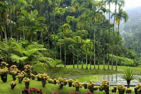 martinique-balata-botanical-gardens Sailing holiday Martinique