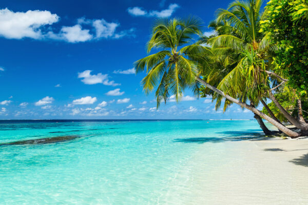 salt whistle bay meezeilen Sailing-Dutchman Caribbean
